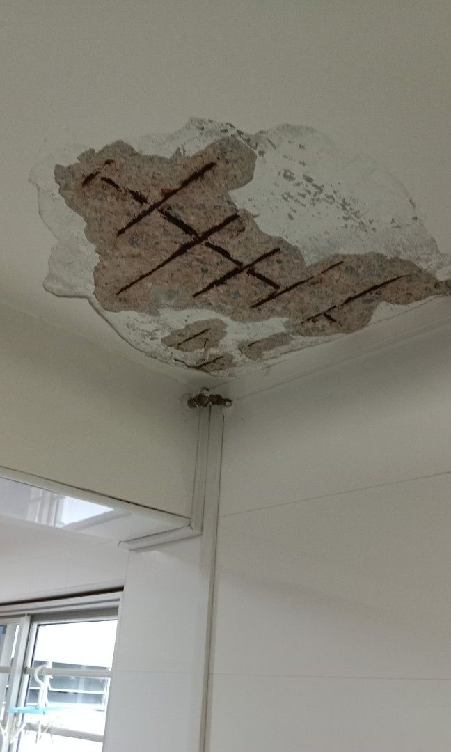 repainting toilet & kitchen and toilet ceilings plastering painting and