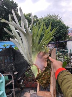 （分類：）位於 。 由 suncws 提交（商品編號 1202415162，圖片 1）。簡介： 。