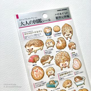 （分類：）位於 。 由 amyleungwm 提交（商品編號 1198144546，圖片 1）。簡介： 。