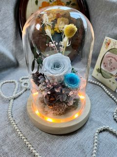 （分類：）位於 。 由 lantern.flora 提交（商品編號 1202451278，圖片 1）。簡介： 。