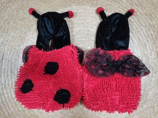 Baby Milestone Costume / Ladybug Costumr