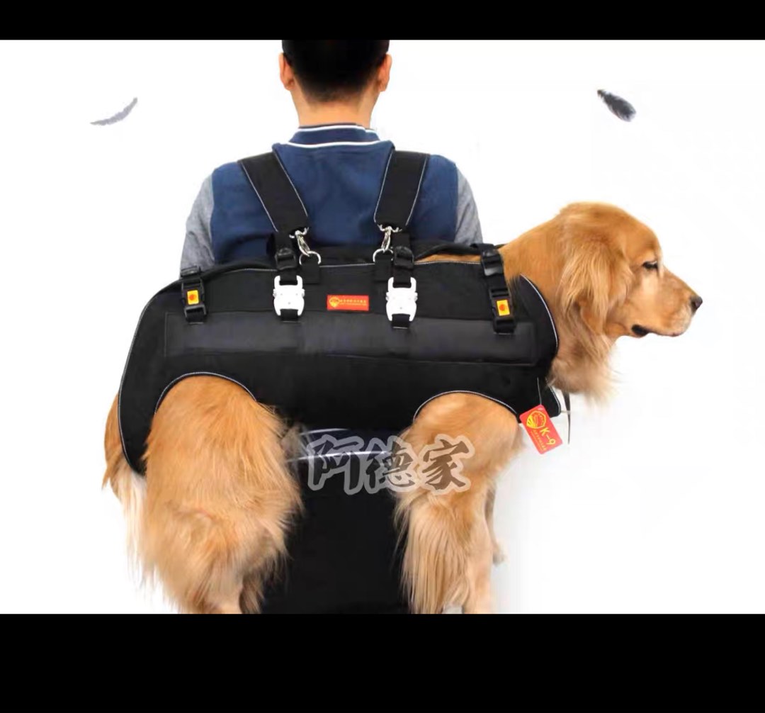 Backpack to hold dogs