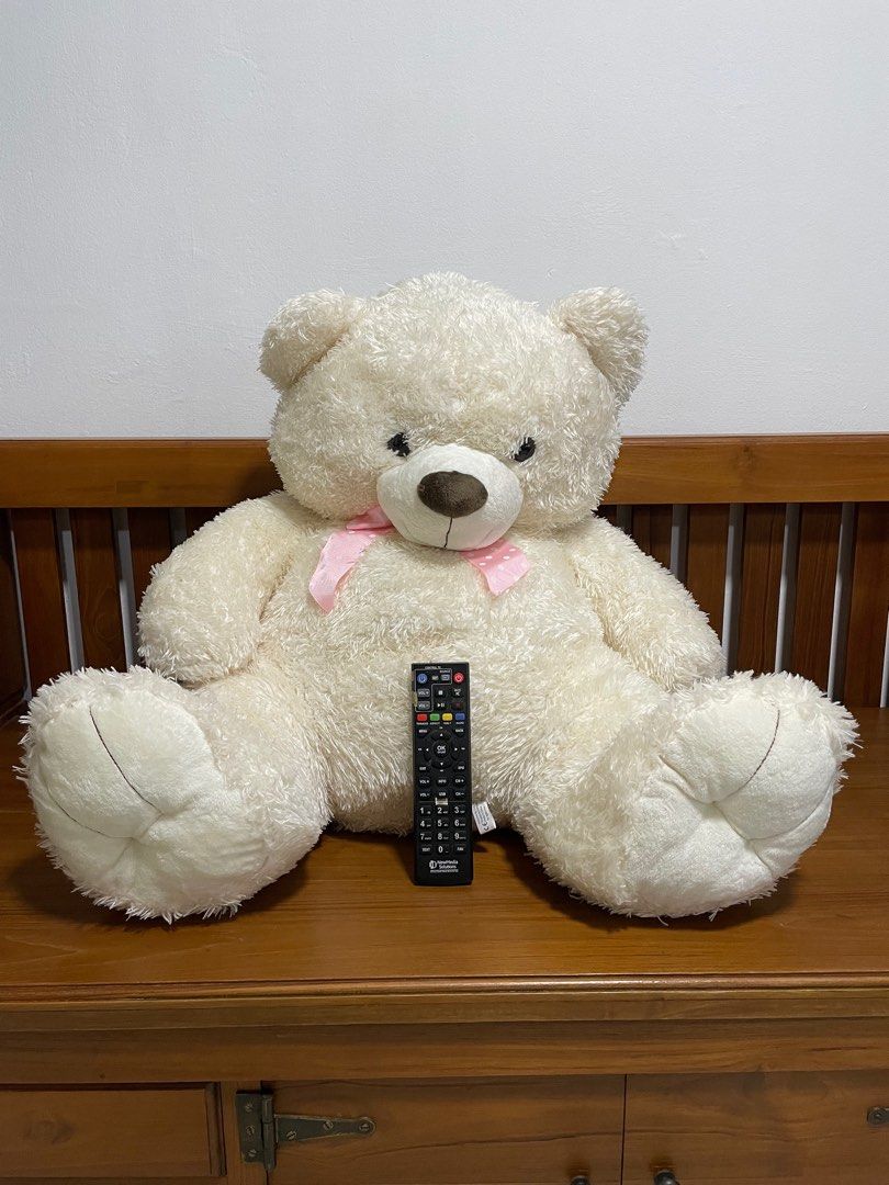 teddy bear imagesbig size