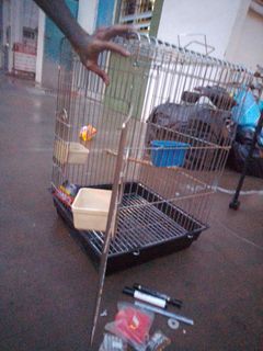 (Category: ) located in . Submitted by makcik01 (Listing ID 1202399742, Image 1). Description: .