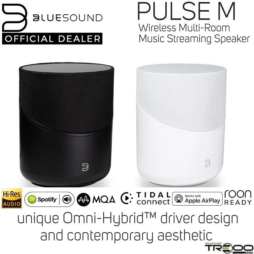 Multi room music bluetooth sales