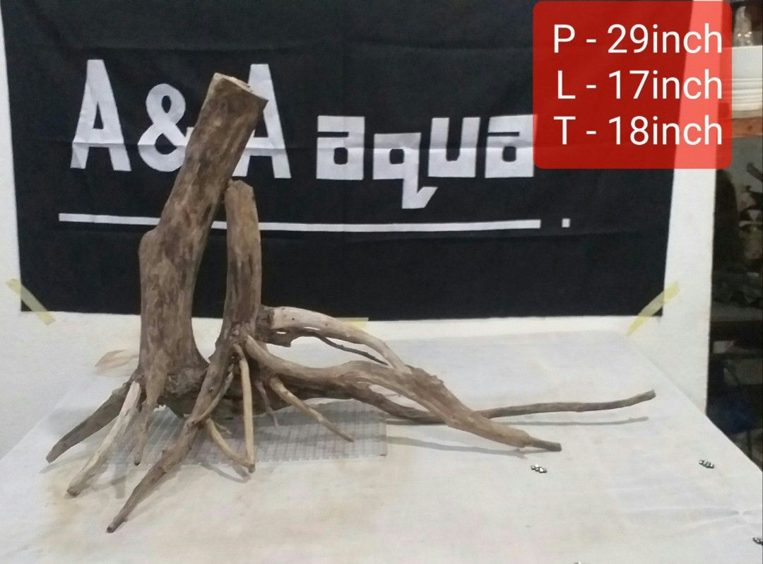 Driftwood / hardscape aquarium, Pet Supplies, Homes & Other Pet