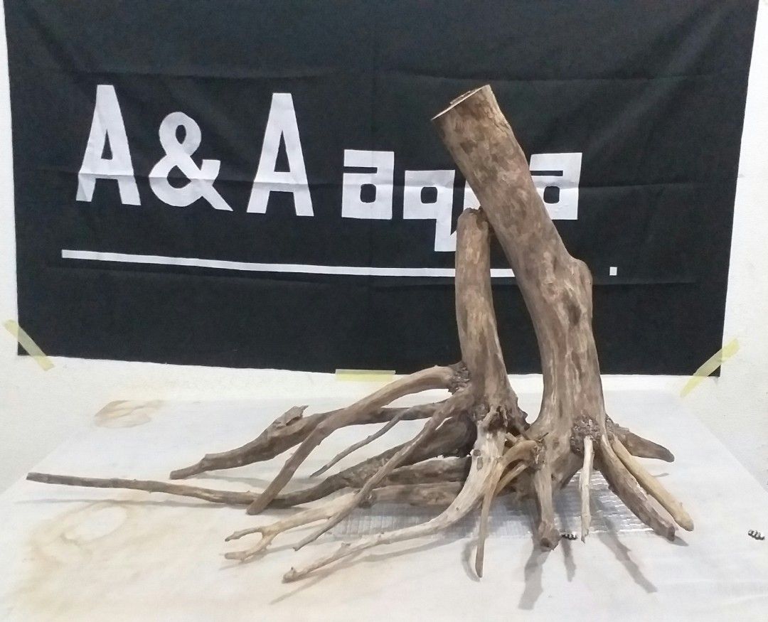 Driftwood / hardscape aquarium, Pet Supplies, Homes & Other Pet