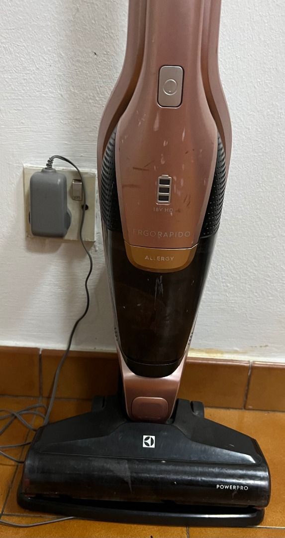 Electrolux ErgoRapido Power Pro Cordless Vacuum Cleaner, TV & Home