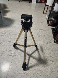 Extendable Aluminium tripod with case.