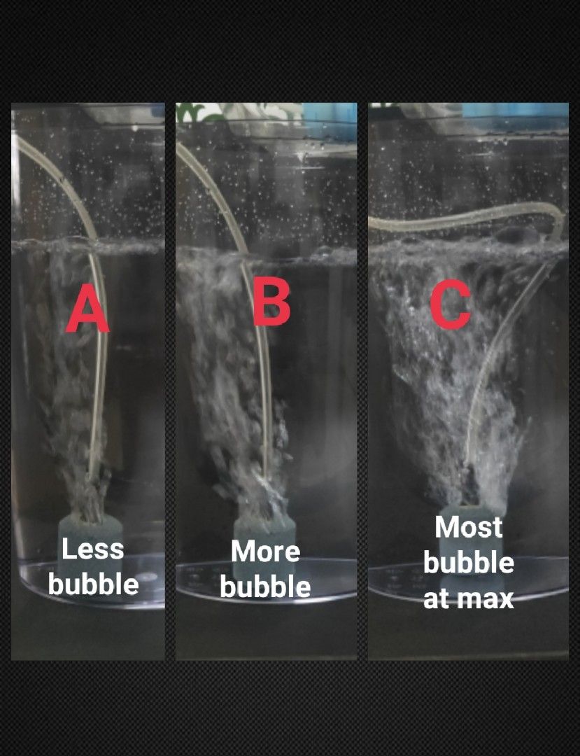 Fish food samples, aquarium plants for guppies tetra