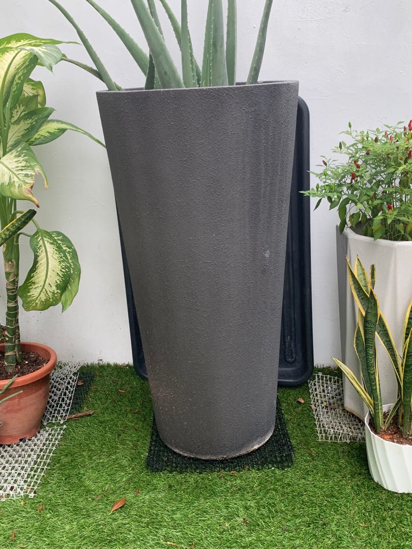 Huge plant pot for sales., Furniture & Home Living, Gardening, Pots