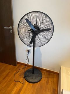 (Category: ) located in . Submitted by imnotted (Listing ID 1202462660, Image 1). Description: .
