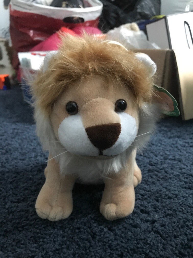 Lion plushies doll 15cm, Hobbies & Toys, Toys & Games on Carousell