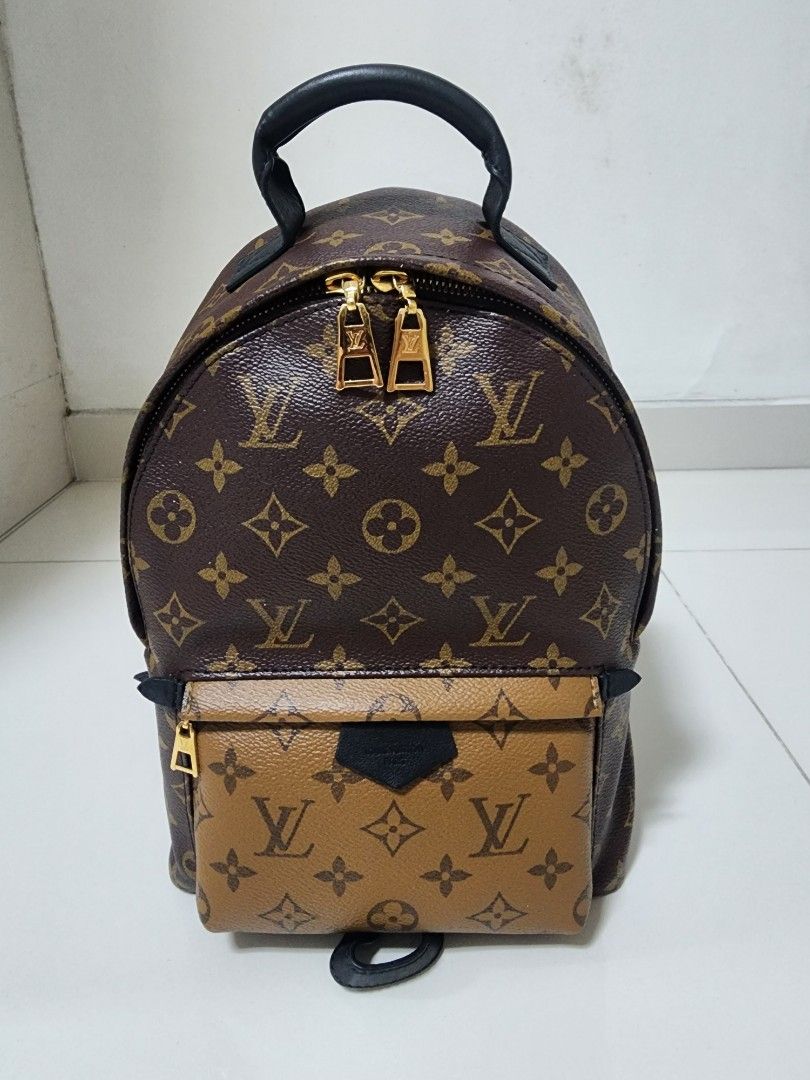 Brown Louis Vuitton Monogram Reverse Palm Springs PM Backpack