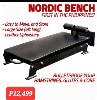 Nordic bench