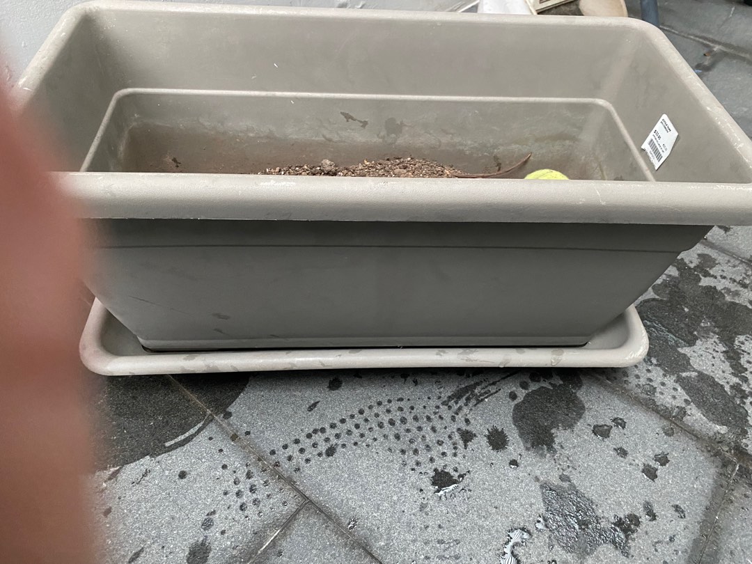 Plant potting box, Furniture & Home Living, Gardening, Gardening Tools