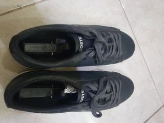 Sepatu lacoste original Dark Gray
