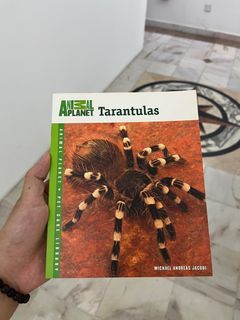 Tarantulas
