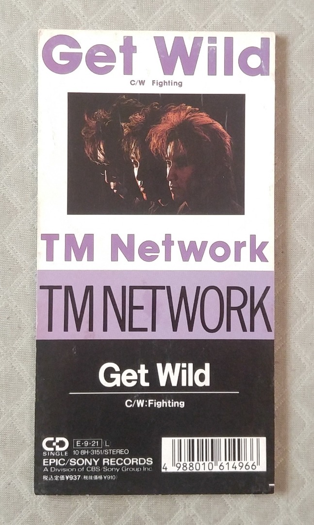 TM NETWORK - GET WILD-