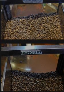 100% Authentic Fresh Roasted Coffee Bean from the Cordillera | Whole or Ground - 1Kg