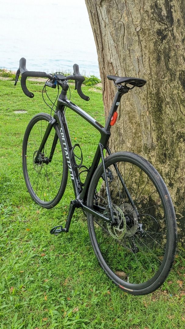 roubaix fact 10r