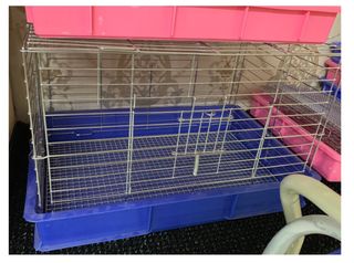 (Category: ) located in . Submitted by gracelikesyou (Listing ID 1202554111, Image 1). Description: .