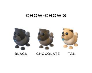 Adopt Me ! Chow-Chow Pet Bundle