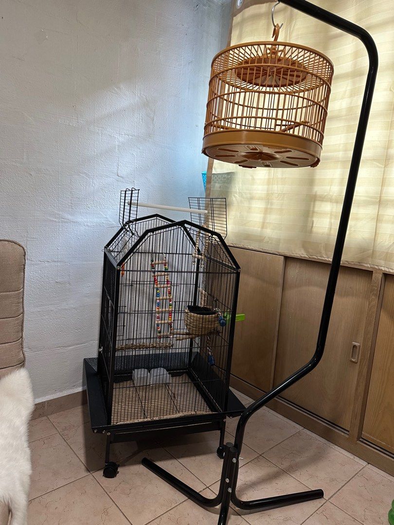 Bird Cages & Accessories - Pet Supplies