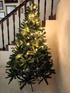 (Category: ) located in . Submitted by kiyumo (Listing ID 1200491201, Image 1). Description: .