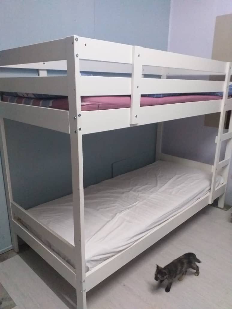 [NEGOTIABLE] MYDAL IKEA BUNK BED FRAME WHITE DOUBLE DECKER, Furniture