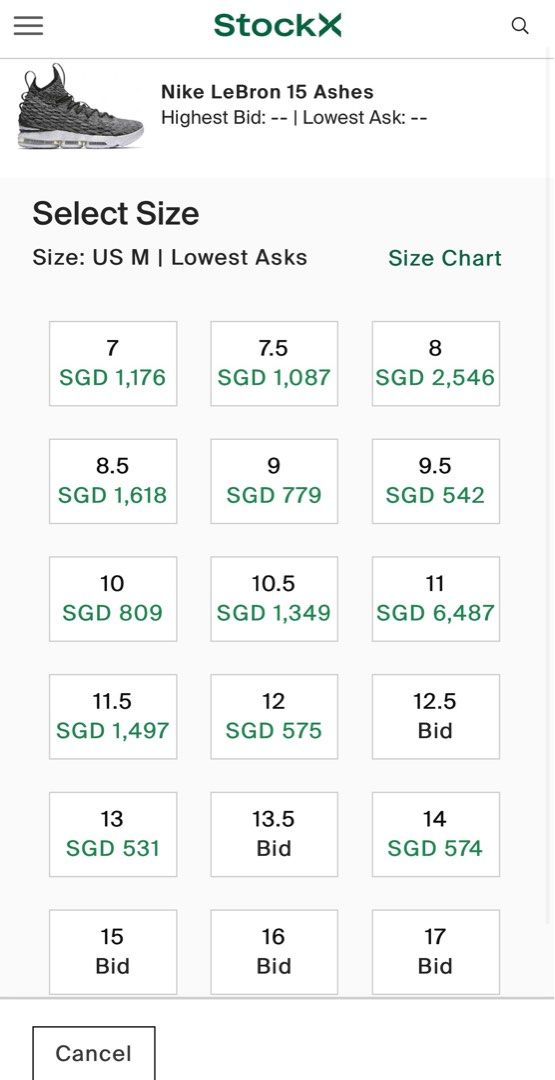 Lebron 15 size 12.5 hot sale