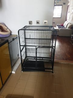 (Category: ) located in . Submitted by hannahsalim (Listing ID 1202544967, Image 1). Description: .