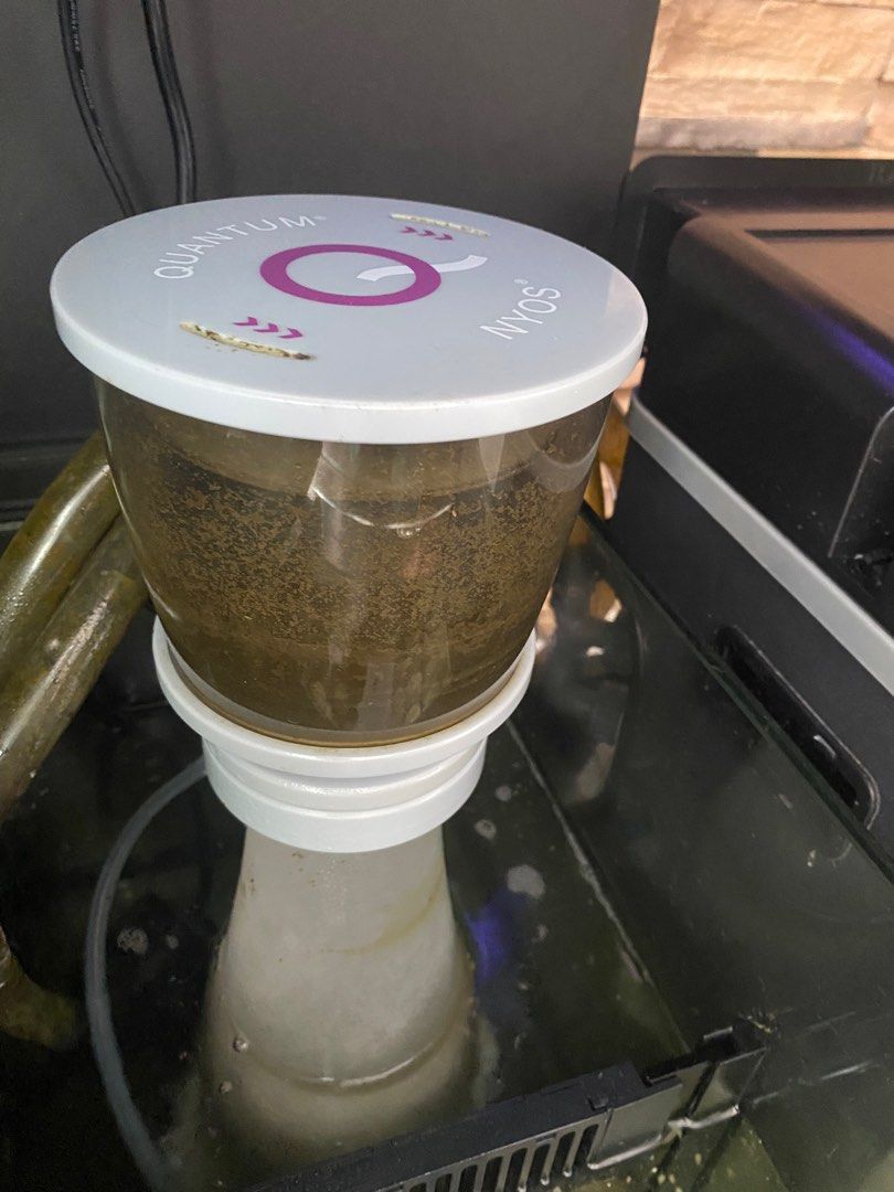 Reef Aquarium For Sale, Pet Supplies, Homes & Other Pet Accessories on