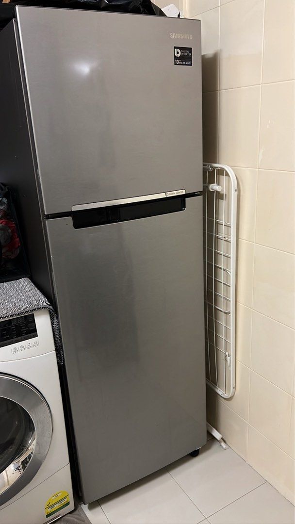 willz fridge