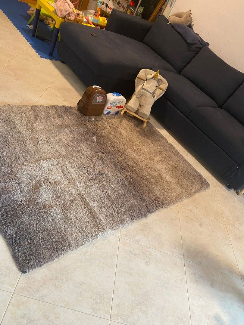 Spotlight Rug(Adjustible), Furniture & Home Living, Home Decor, Carpets