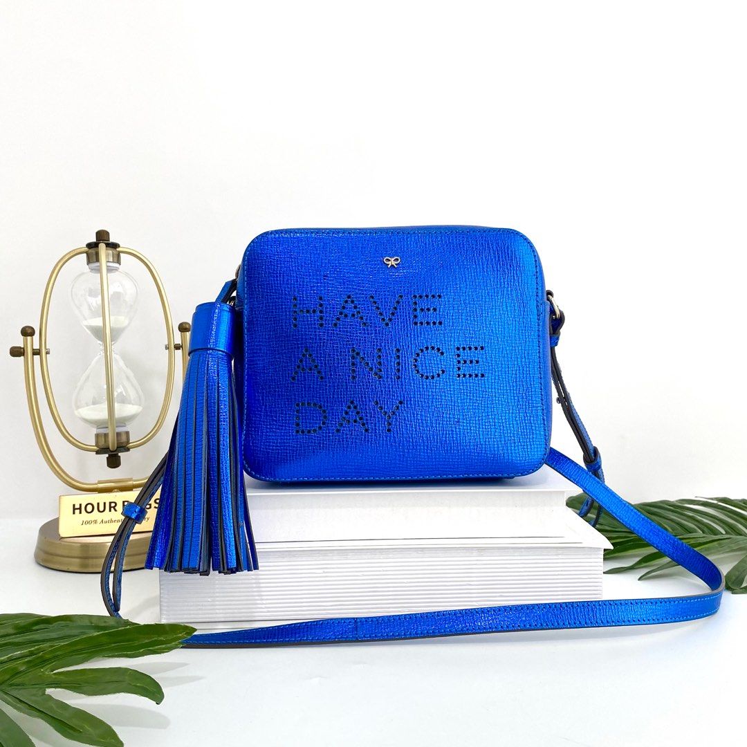 Anya hindmarch camera best sale bag