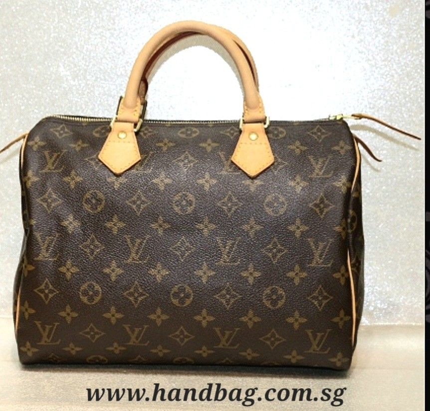 Authentic Louis Vuitton Monogram Speedy 25 Bag, Luxury, Bags & Wallets on  Carousell