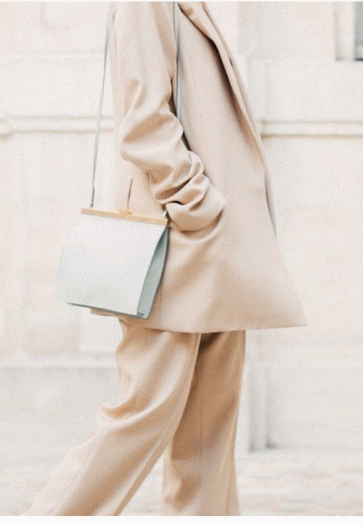 Celine Mini Clasp In Exotic Leather, Luxury, Bags & Wallets On Carousell