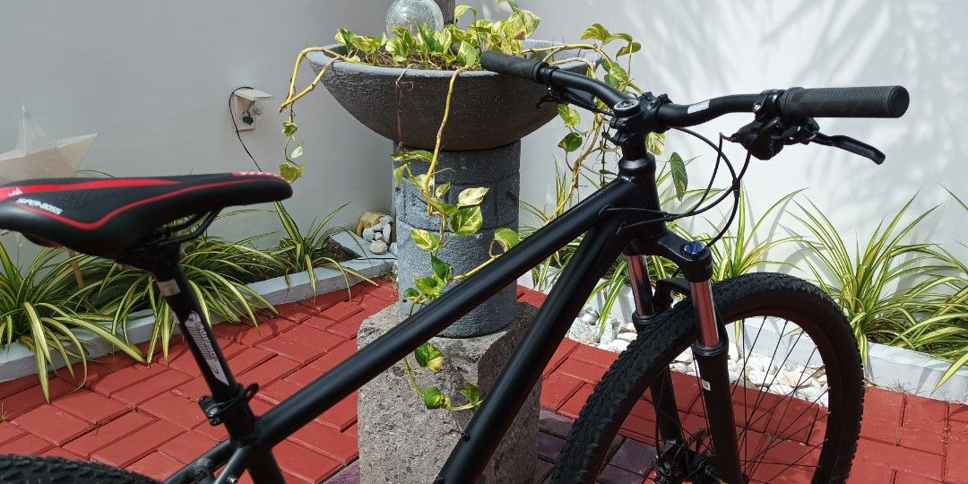 Crane 29er Mountain bike