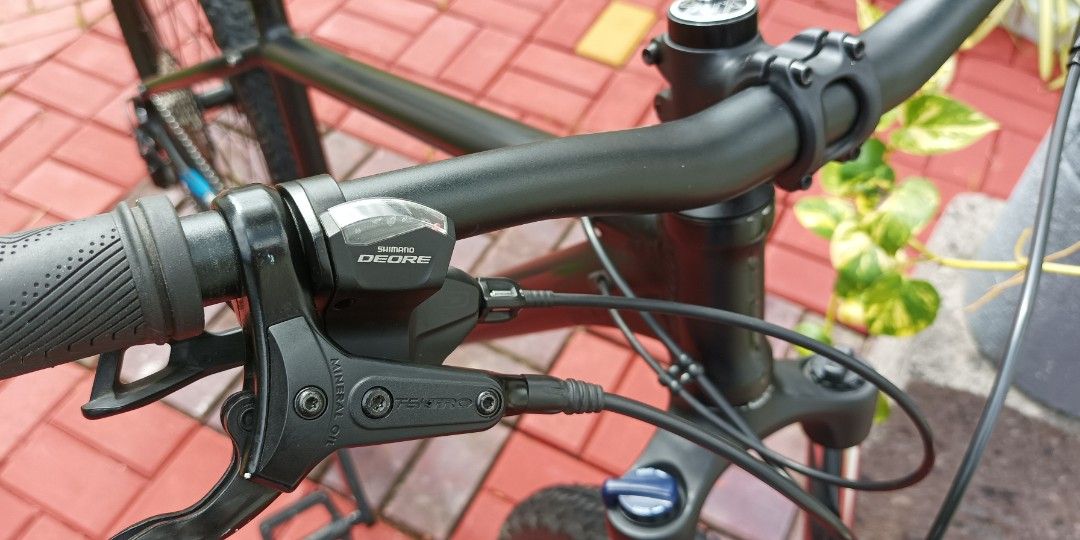 Crane 29er mountain sales bike