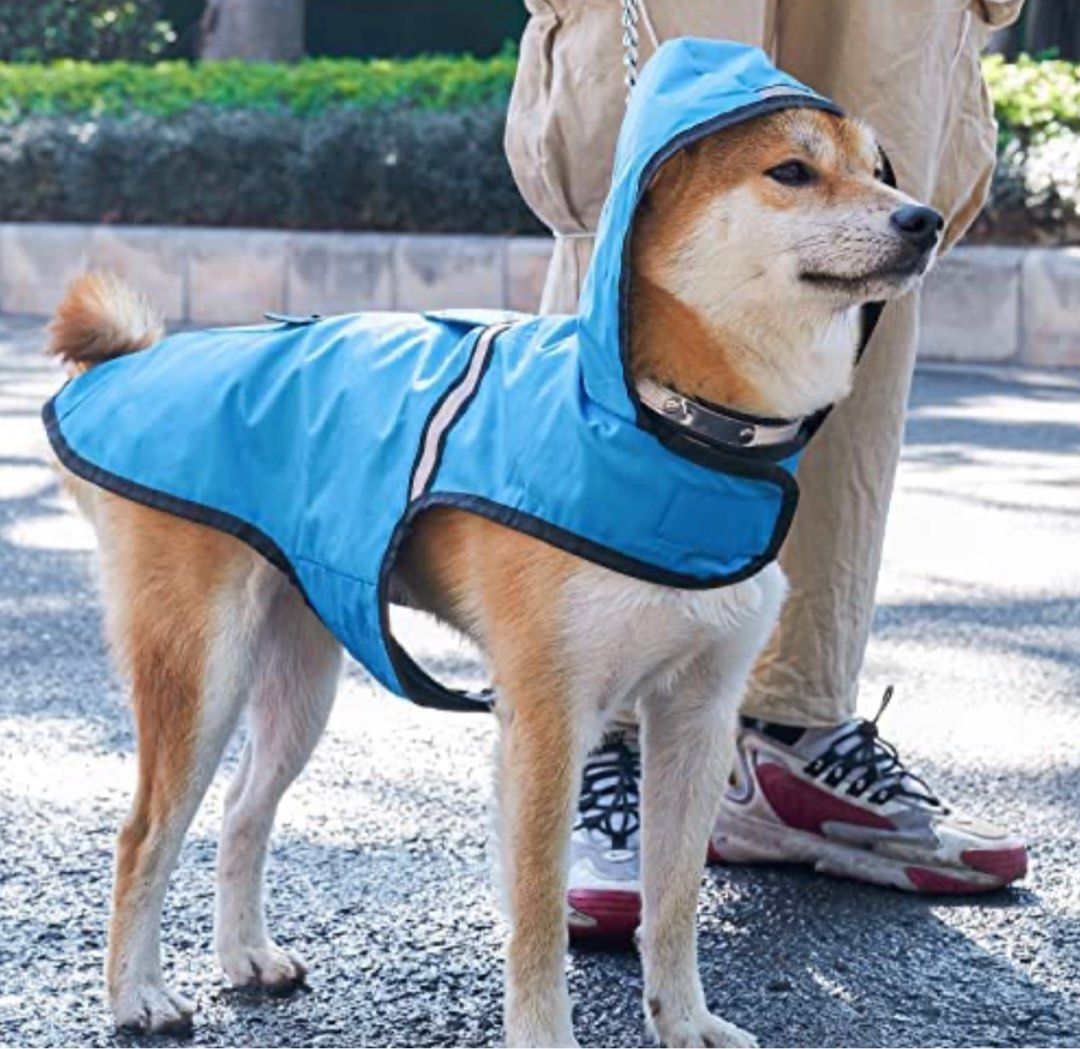 Rain brand coat online