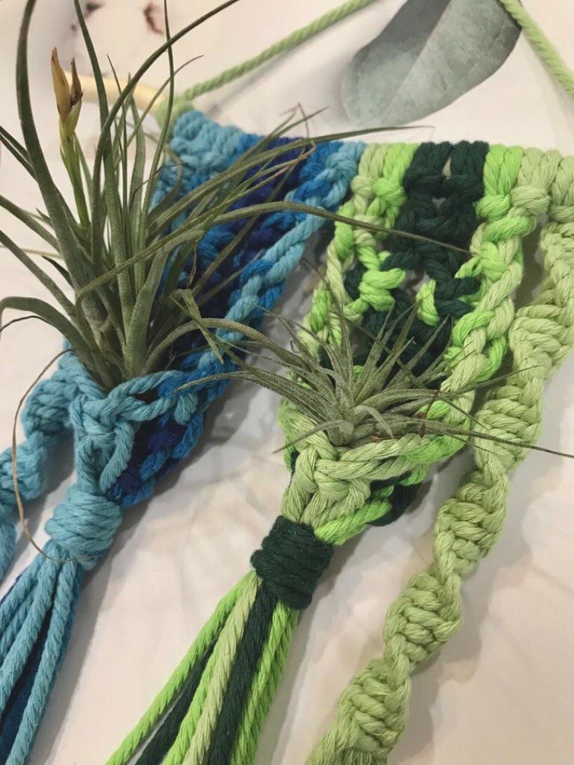 Handmade Macrame air plant hanger, Furniture & Home Living, Gardening