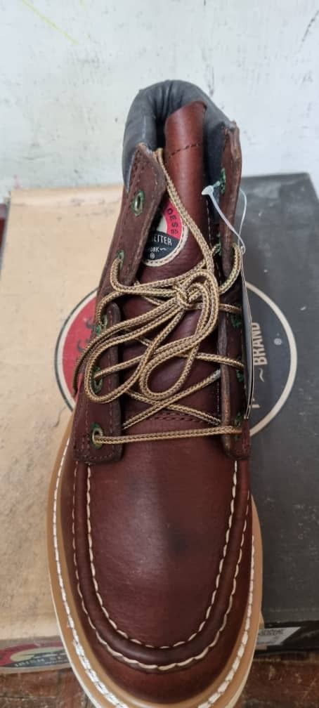 Irish sales setter 83607