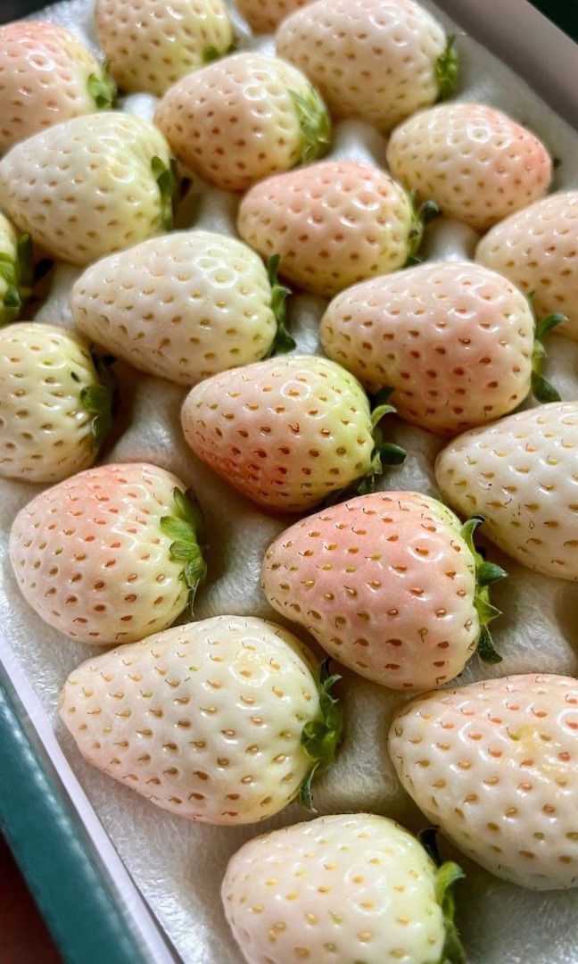 Japan Snow Pink Strawberry 24pcs, Food & Drinks, Fresh Produce on Carousell
