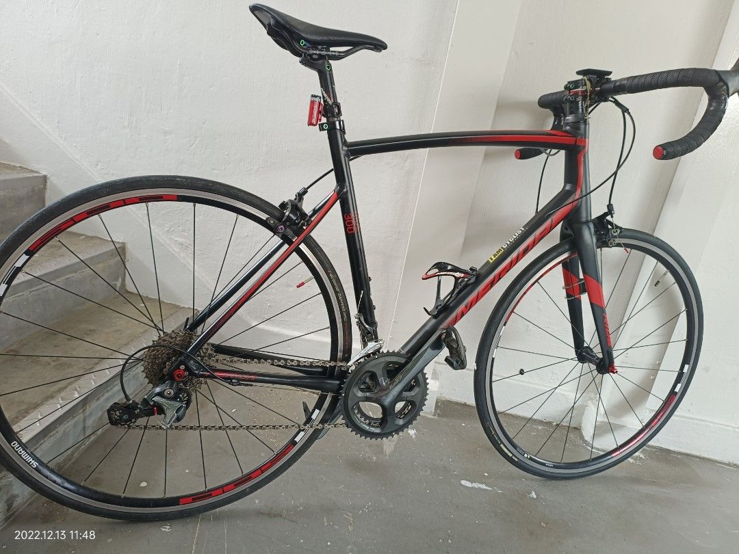 Merida Ride 300