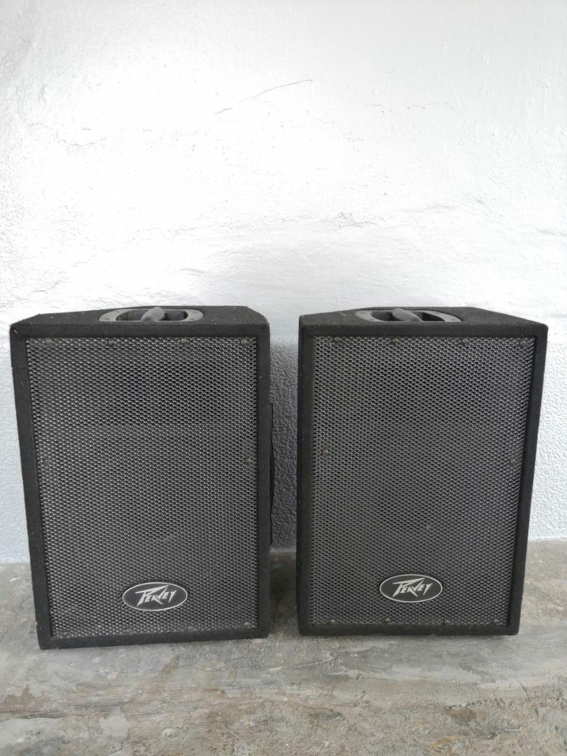Pvi 10 shop speakers