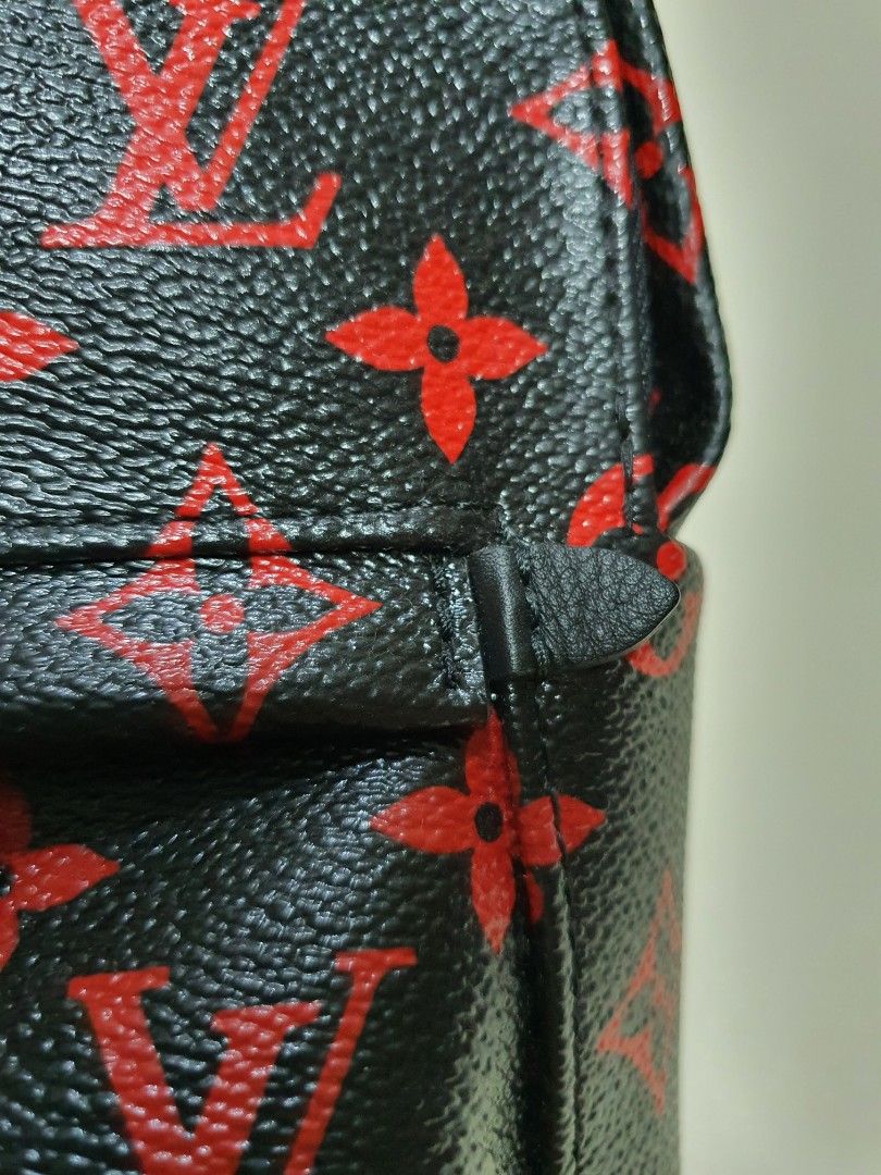 The Louis Vuitton Palm Springs Backpack Mini – A Rose In The City