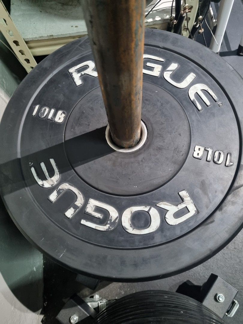 Rogue Bumper Plates, Sports Equipment, Exercise & Fitness, Weights