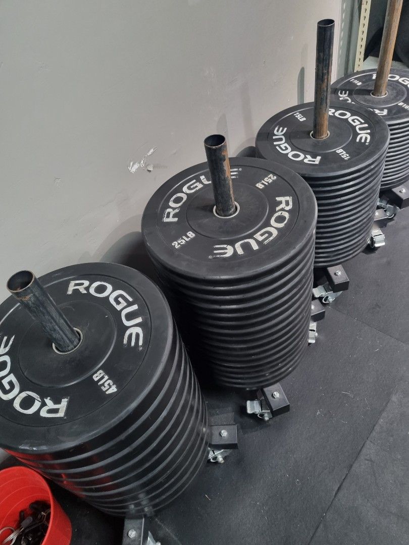 Rogue Bumper Plates, Sports Equipment, Exercise & Fitness, Weights