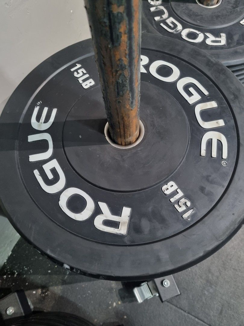 Rogue Bumper Plates, Sports Equipment, Exercise & Fitness, Weights